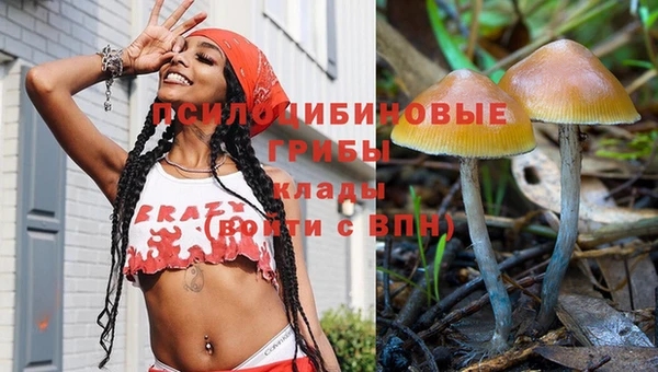 mdpv Дмитров
