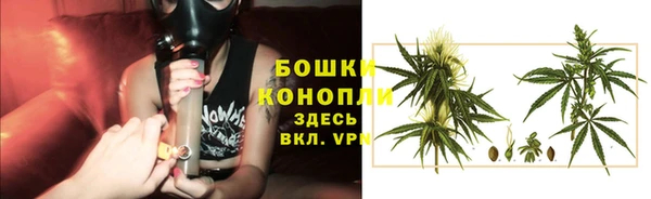 трава Дмитриев