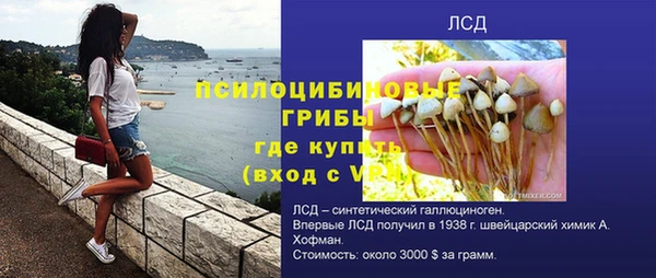 mdpv Дмитров